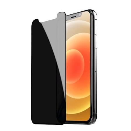 Privacy screen protector
